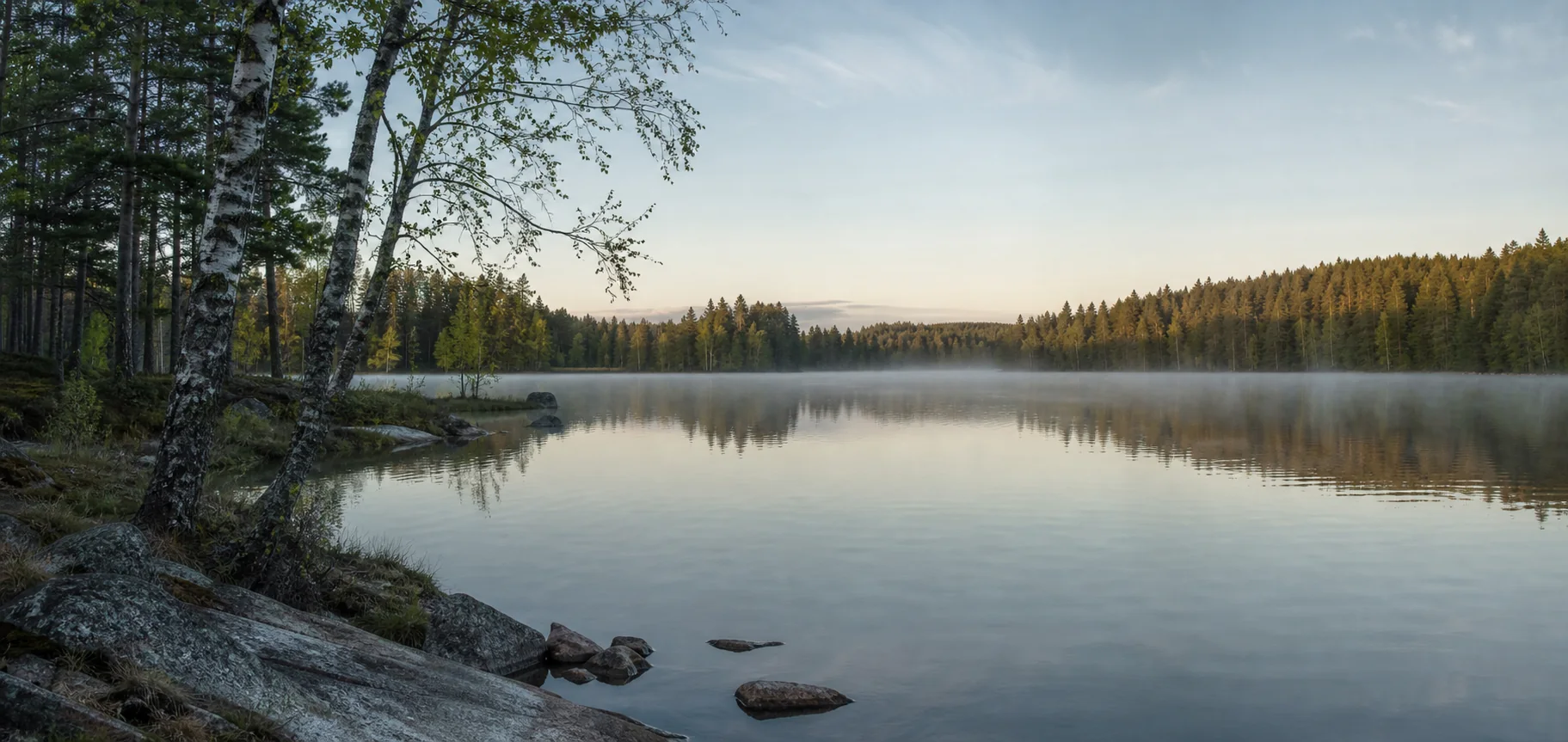 Ruhiger schwedischer See mit Birken, Kiefern und Morgennebel